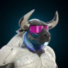 Matched profile picture