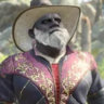 Selected profile picture