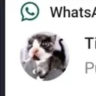 Matched profile picture