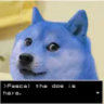 Selected profile picture