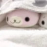 mnygifs