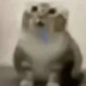 flaroguy
