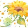 fennelthyme