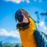 Matched profile picture