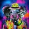 Matched profile picture