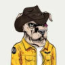 Matched profile picture