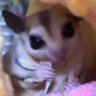 baimaichiw