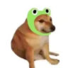Matched profile picture