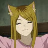 anibalturek