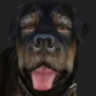 Selected profile picture