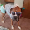 Matched profile picture