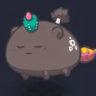Selected profile picture