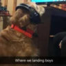 Matched profile picture