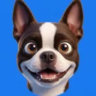 Matched profile picture