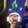 Profile picture