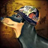Selected profile picture