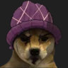 Selected profile picture