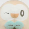 rowletlad