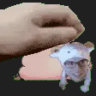 Selected profile picture