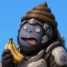 Matched profile picture