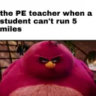 Selected profile picture