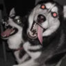 Matched profile picture