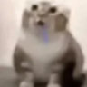 smoll_teddy