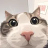 trustmeimnotfbi