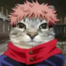 Selected profile picture