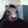 Selected profile picture