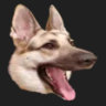 Matched profile picture