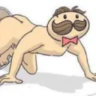 Matched profile picture