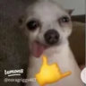Selected profile picture