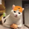jerry_likeduck