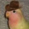 Selected profile picture