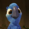 Matched profile picture