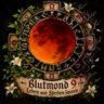 Blutmond Discord
