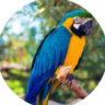 Selected profile picture