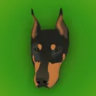 Matched profile picture