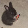 owxvzxvxoqwoiruthbbasdfysafdzfss