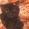 cupcakekiti