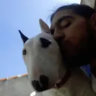 Matched profile picture