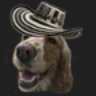 Selected profile picture