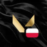 VALORANT Polska