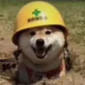 Selected profile picture