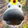 Selected profile picture