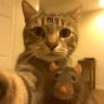 Matched profile picture