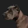 Matched profile picture