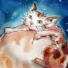 Matched profile picture