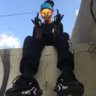 faelfivm